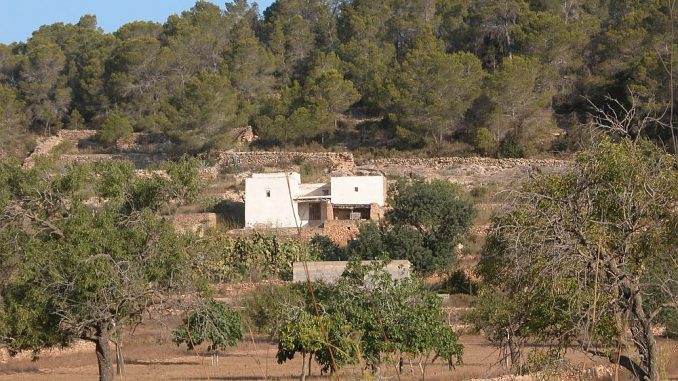 Im Sommer ist es traditionell extrem trocken auf Ibiza - das sieht man überall augf der Insel. Die Anzahl der Touristen 2016 bringt die Wasserversorgung jetzt noch früher an ihre Grenzen. (Foto: Markus Burgdorf)